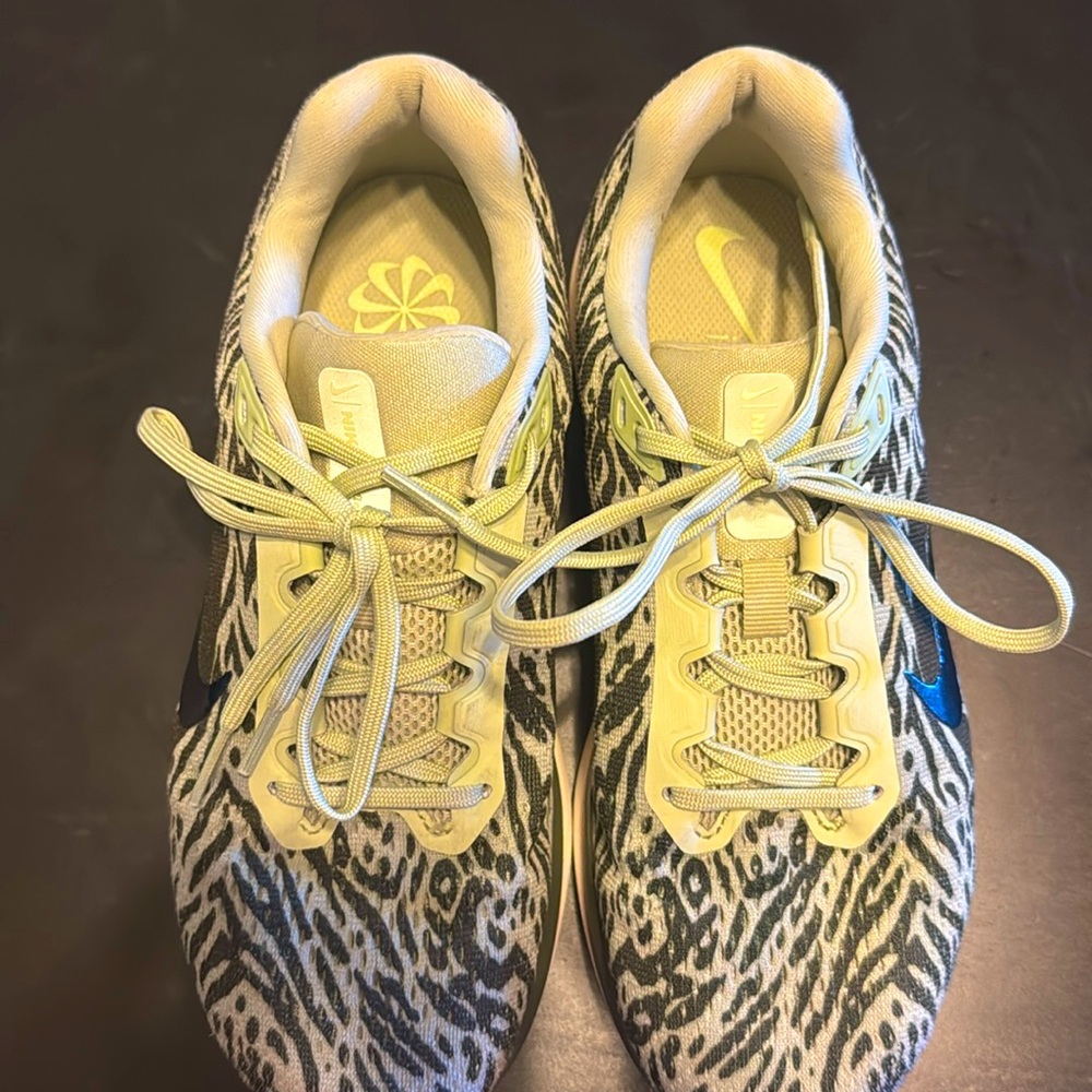 Nike Winflo 11